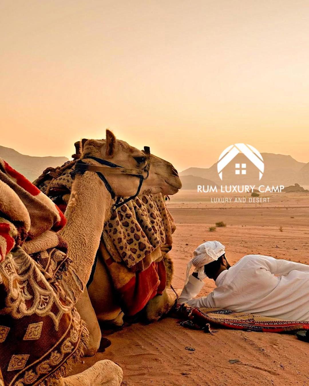 Rum Luxury Camp Wadi Rum Eksteriør bilde