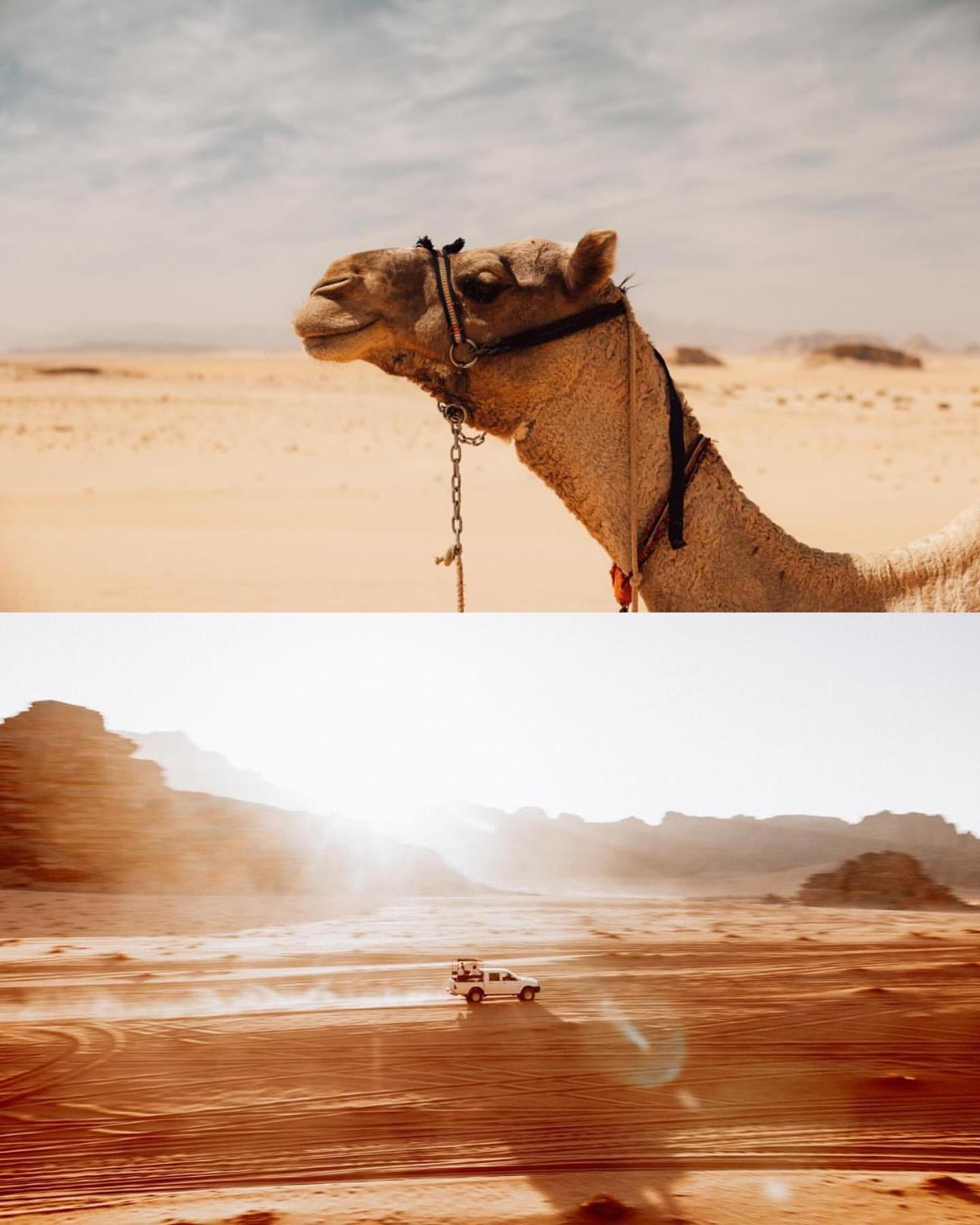 Rum Luxury Camp Wadi Rum Eksteriør bilde