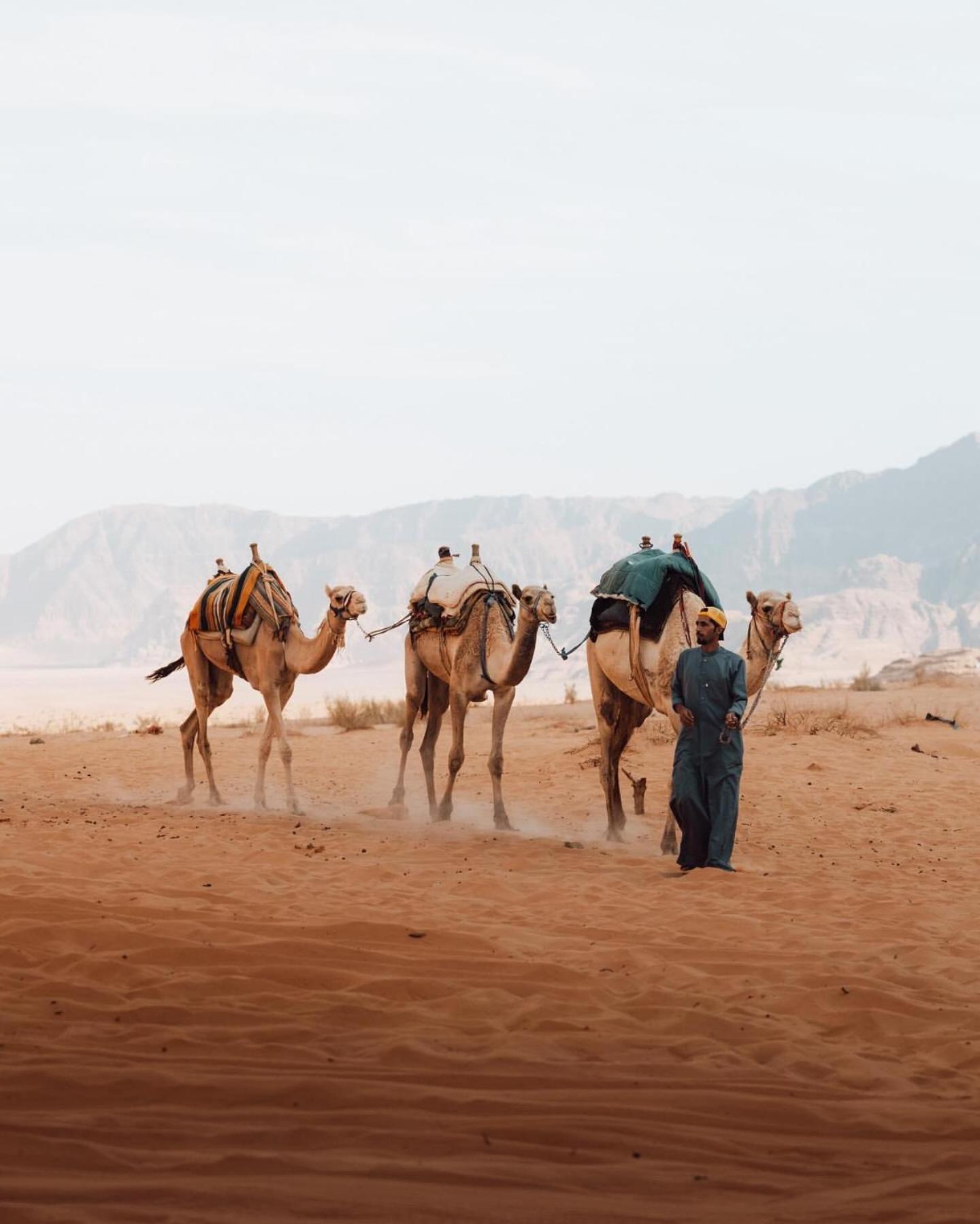 Rum Luxury Camp Wadi Rum Eksteriør bilde
