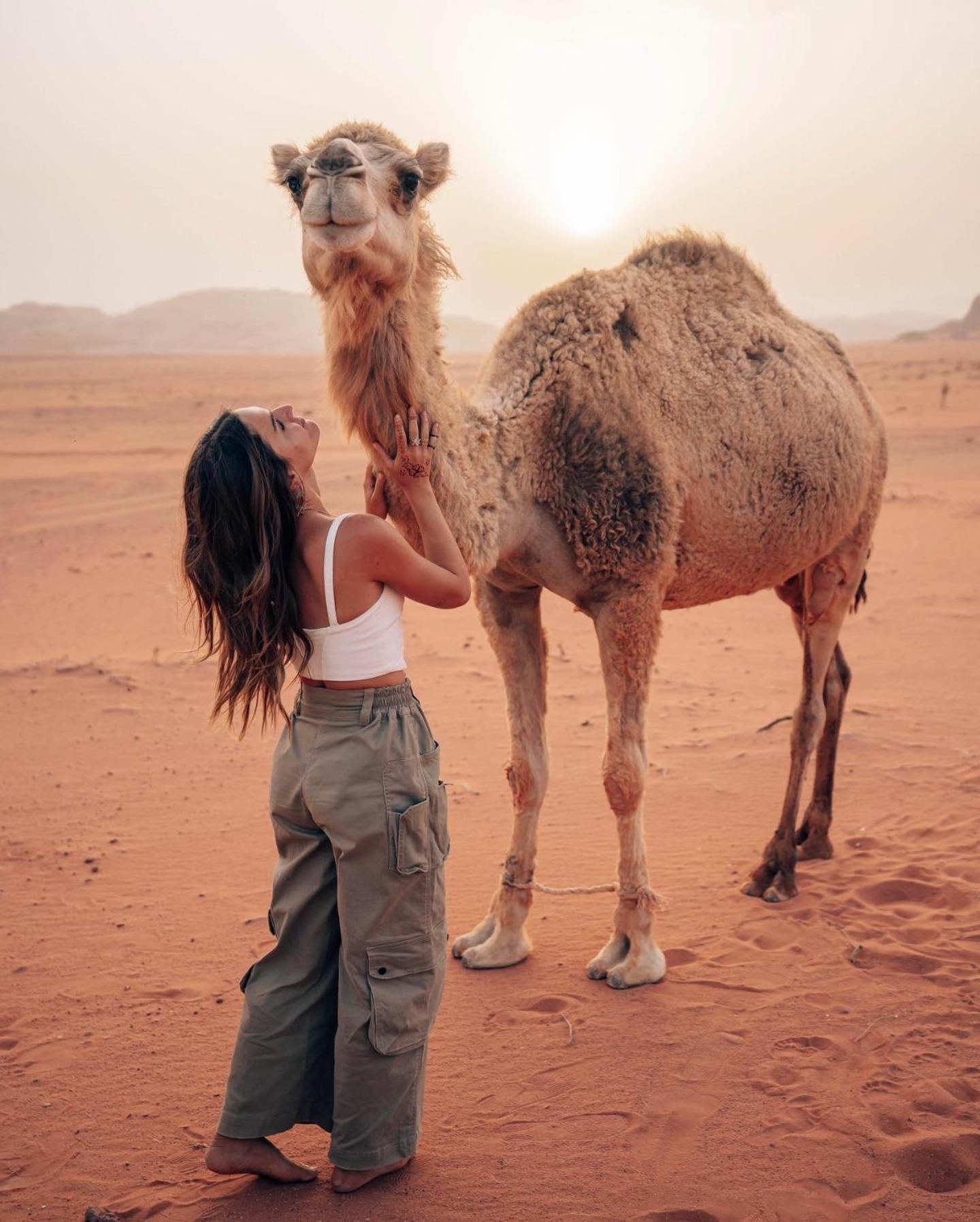 Rum Luxury Camp Wadi Rum Eksteriør bilde